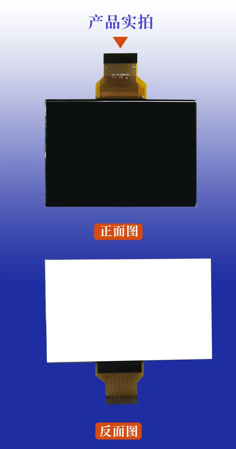 W实物